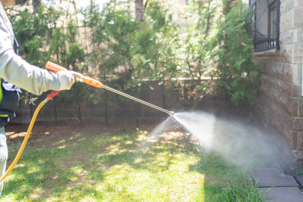 Best Cockroach Control Services  in Bliss Corner, MA