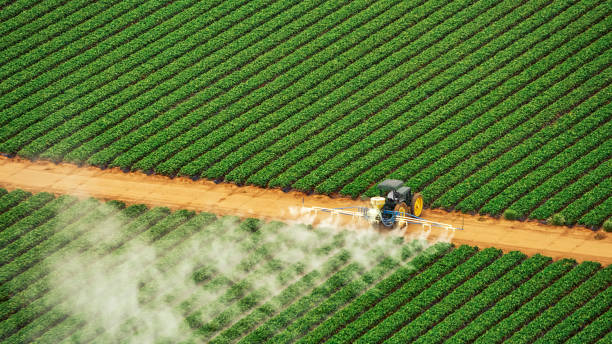 Best Commercial Pest Control Services  in Bliss Corner, MA