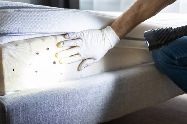 Best Pest Inspection Near Me  in Bliss Corner, MA