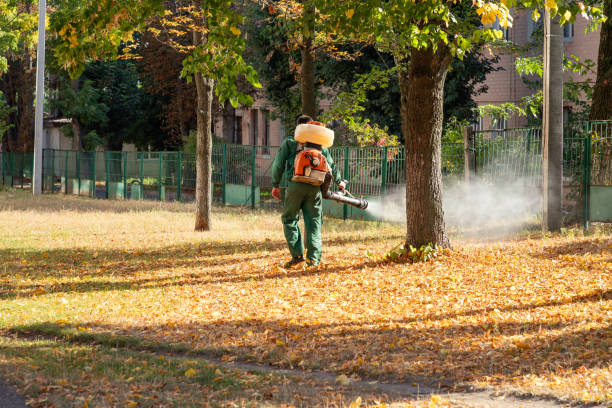 Bliss Corner, MA Pest Control Company