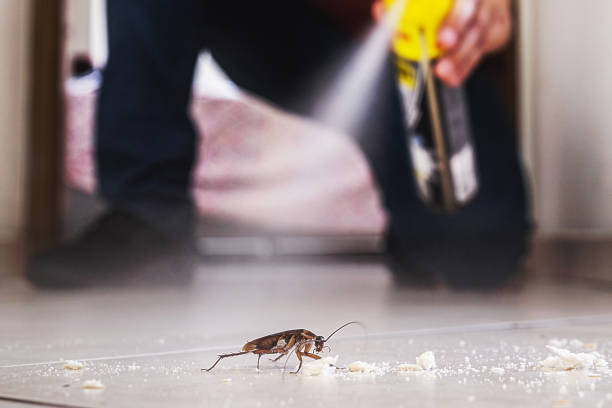 Best Wildlife Control Services  in Bliss Corner, MA